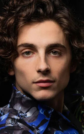 Фотография актёра Тимоти Шаламе (Timothée Chalamet)